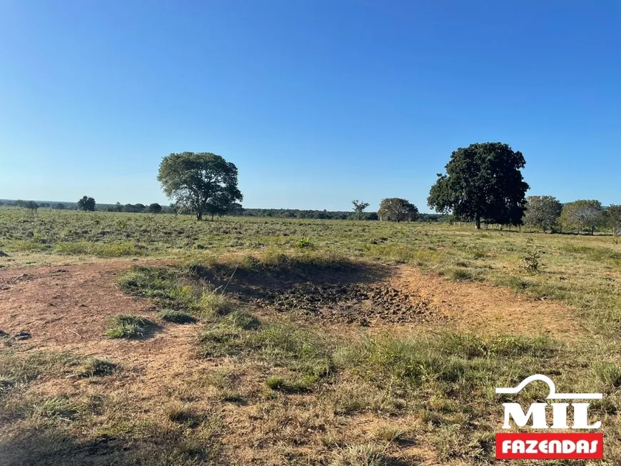 Foto 1 de Fazenda/Sítio à venda em Zona Rural, Talismã