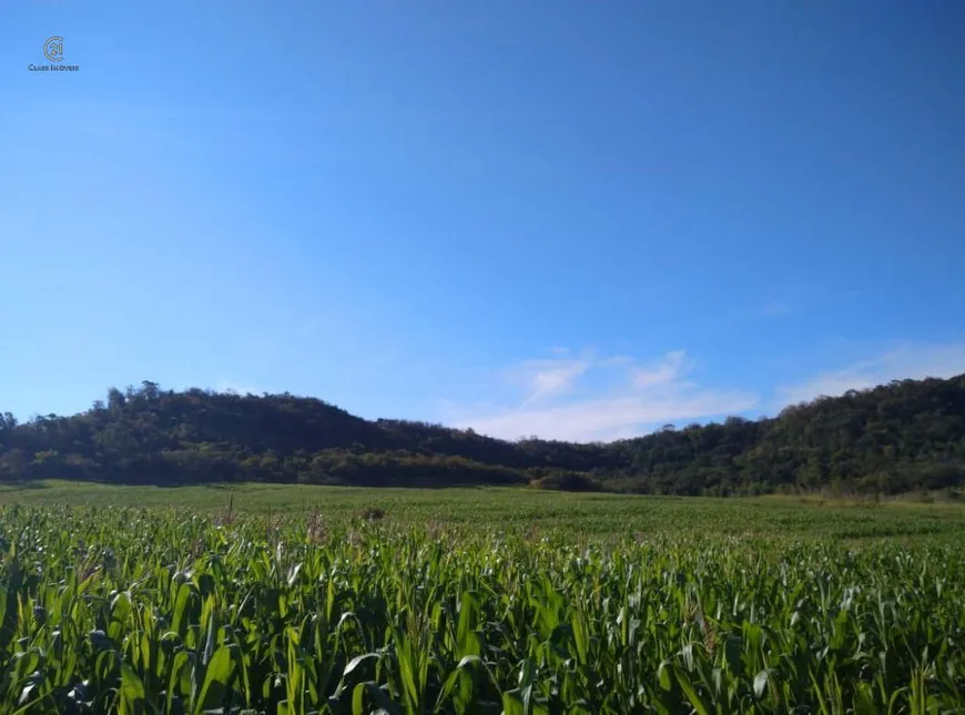 Foto 1 de à venda, 331540m² em Zona Rural, Assaí