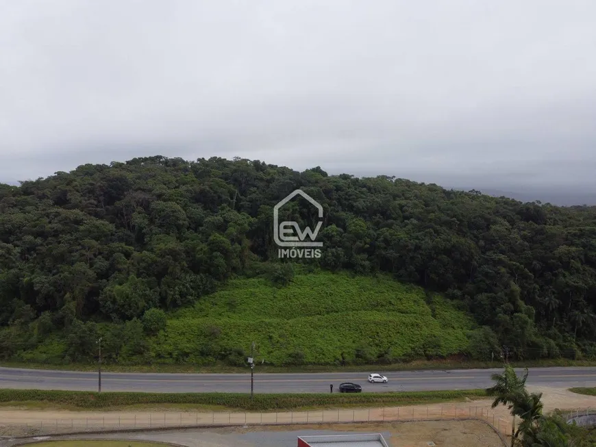 Foto 1 de Lote/Terreno à venda, 39238m² em , Massaranduba