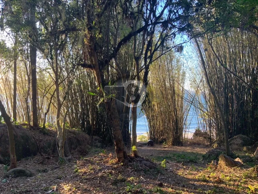 Foto 1 de Lote/Terreno à venda, 1800m² em Daniela, Florianópolis