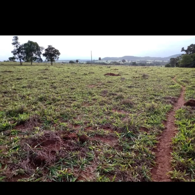 Foto 1 de Fazenda/Sítio à venda em Centro, Itapirapuã