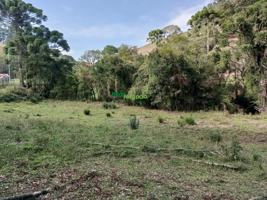 Foto 1 de Fazenda/Sítio à venda, 15000m² em Centro, Delfim Moreira