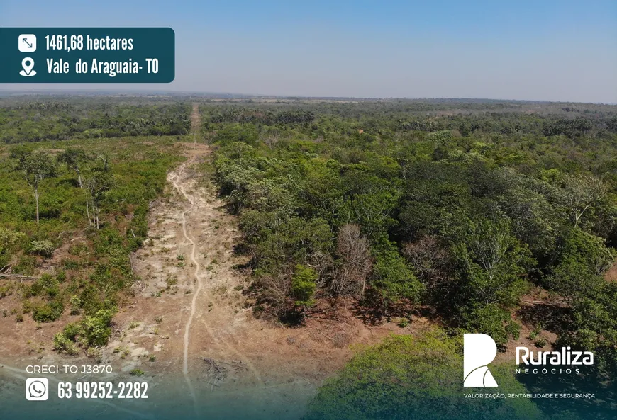 Foto 1 de Fazenda/Sítio à venda, 1461m² em Zona Rural, Dois Irmãos do Tocantins