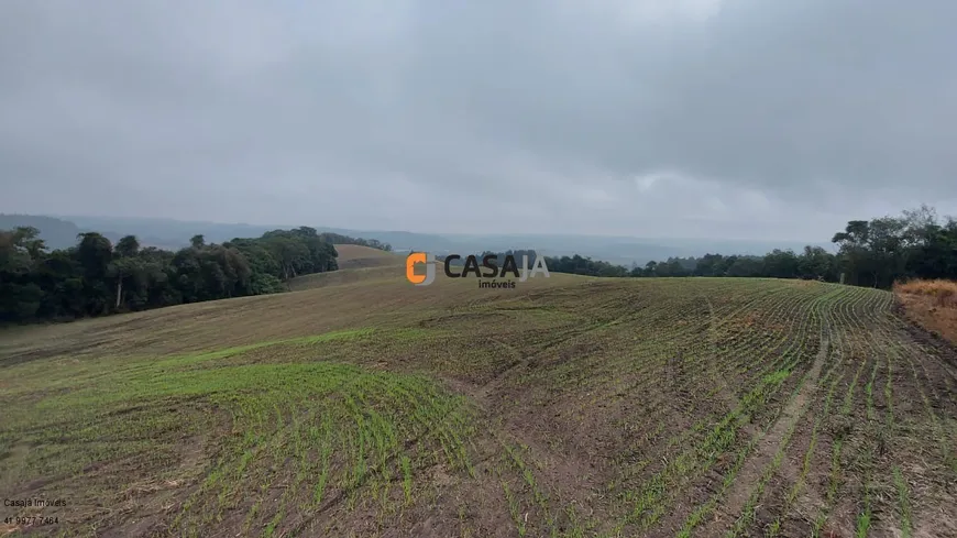 Foto 1 de Fazenda/Sítio com 1 Quarto à venda, 100m² em , Lapa