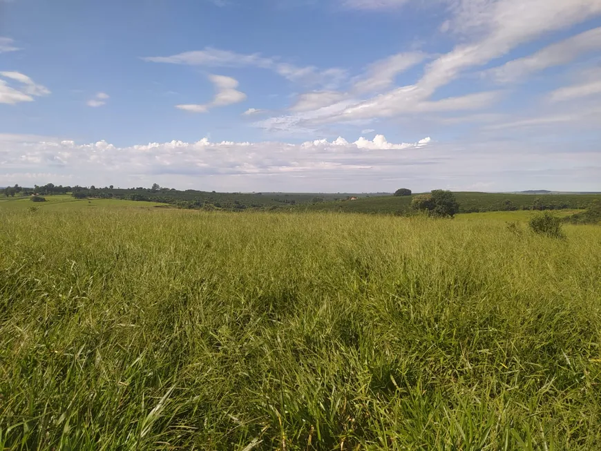 Foto 1 de Fazenda/Sítio com 3 Quartos à venda, 774400m² em Zona Rural, Mococa