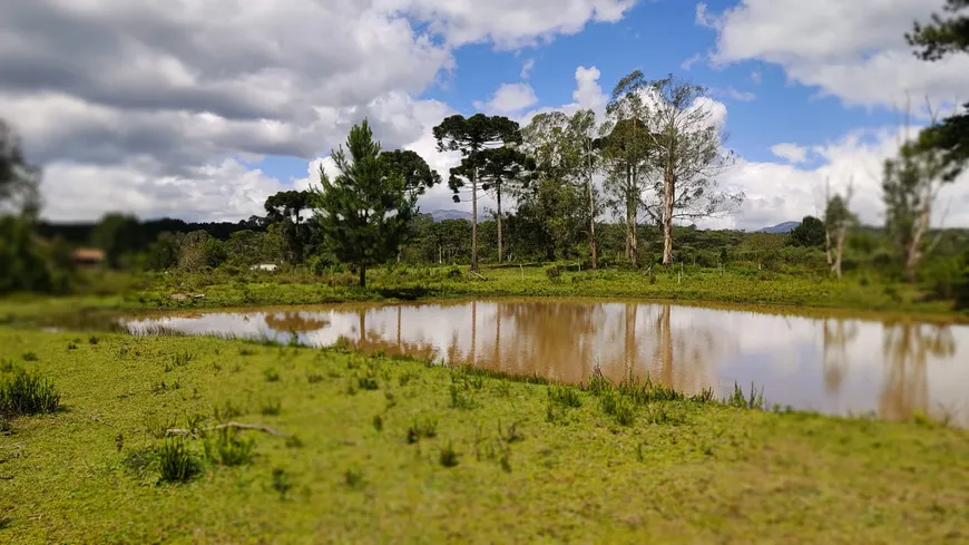 Foto 1 de Fazenda/Sítio à venda, 30000m² em Ambrosios, Tijucas do Sul