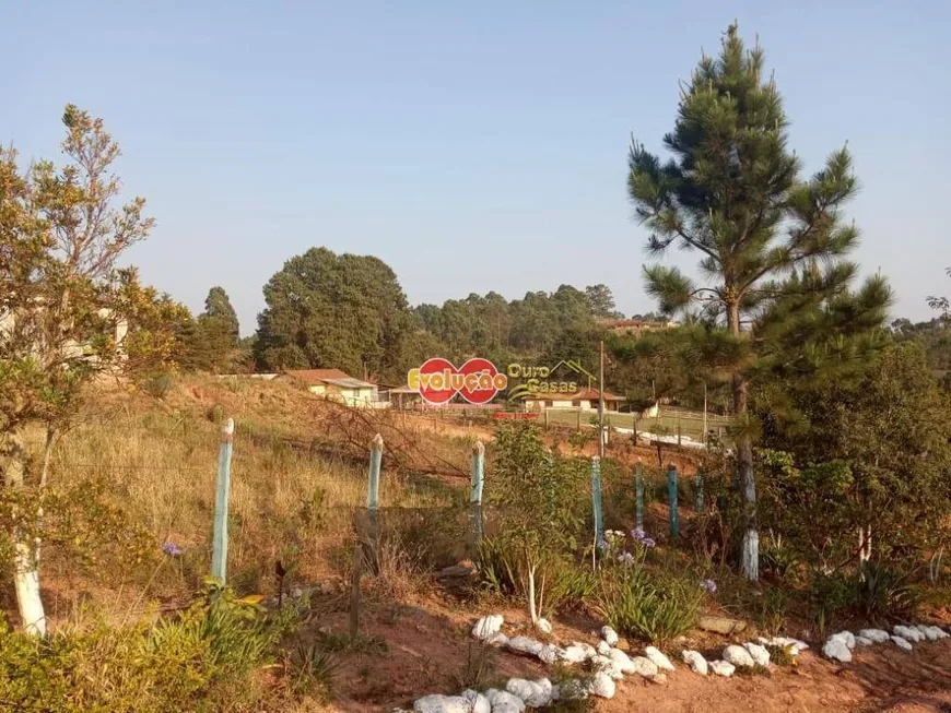 Foto 1 de Fazenda/Sítio com 2 Quartos à venda, 3100m² em , Toledo