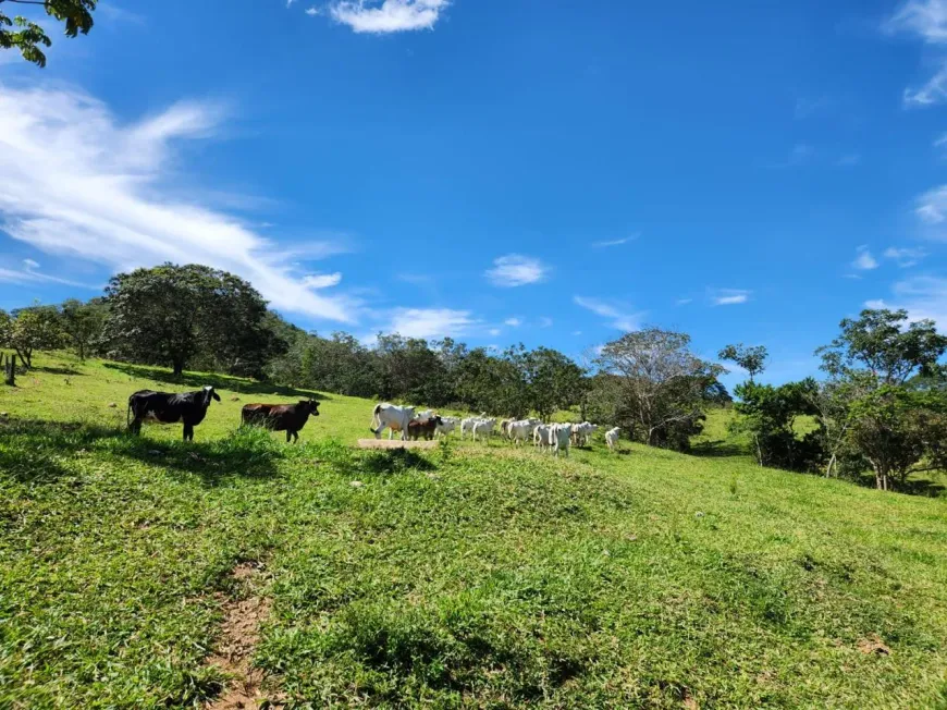 Foto 1 de Fazenda/Sítio à venda, 1113200m² em Setor Central , Bela Vista de Goiás