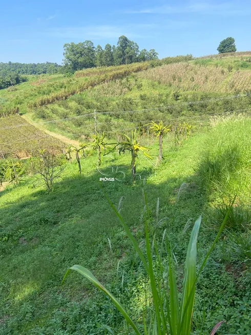 Foto 1 de Lote/Terreno à venda, 2000m² em Abadia, Louveira