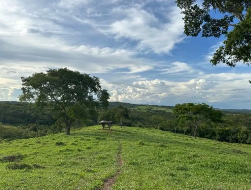Foto 1 de Fazenda/Sítio à venda, 1694000m² em Zona Rural, Urutaí