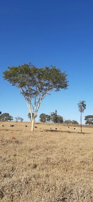 Foto 1 de Fazenda/Sítio à venda em Setor Morada do Sol, Goiânia