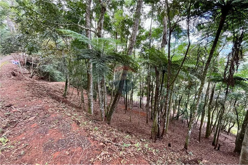 Foto 1 de Lote/Terreno à venda, 1101m² em Parque do Imbuí, Teresópolis