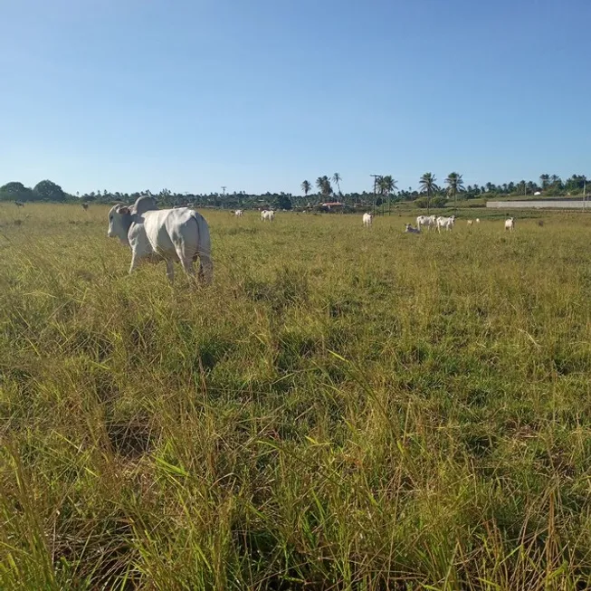 Foto 1 de Fazenda/Sítio com 3 Quartos à venda, 17000m² em Centro, Vera Cruz