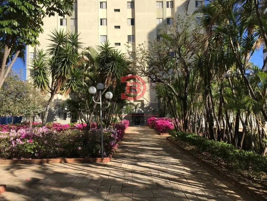 Foto 1 de Apartamento com 3 Quartos à venda, 110m² em Vila Granada, São Paulo