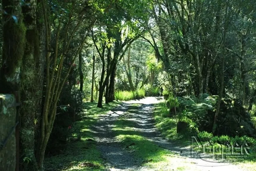 Foto 1 de Lote/Terreno à venda em Vila Suica, Gramado