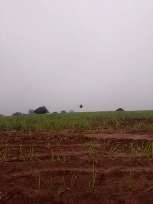 Foto 1 de Fazenda/Sítio com 1 Quarto à venda, 435000m² em Zona Rural, Pirassununga