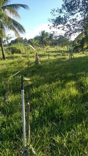 Foto 1 de Fazenda/Sítio com 4 Quartos à venda, 30000000m² em Zona Rural, Pureza