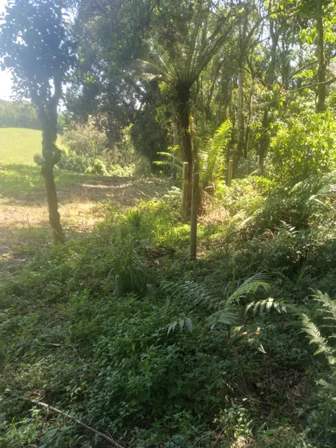 Foto 1 de Lote/Terreno à venda, 30000m² em Lageado, Campo Alegre