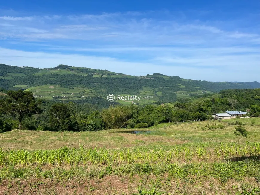 Foto 1 de Lote/Terreno à venda, 20017m² em Faria Lemos, Bento Gonçalves