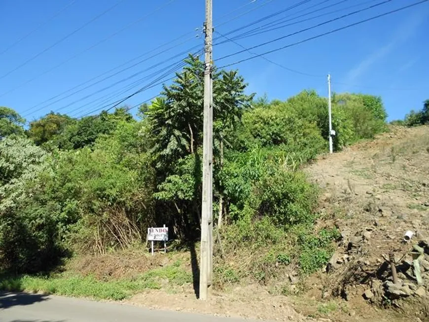 Foto 1 de Lote/Terreno à venda, 1400m² em Linha Olinda, Nova Petrópolis
