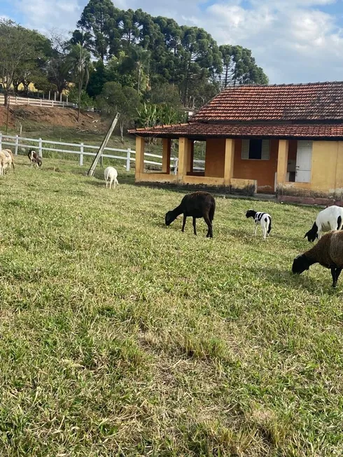 Foto 1 de Fazenda/Sítio com 3 Quartos à venda, 200m² em Area Rural de Pouso Alegre, Pouso Alegre