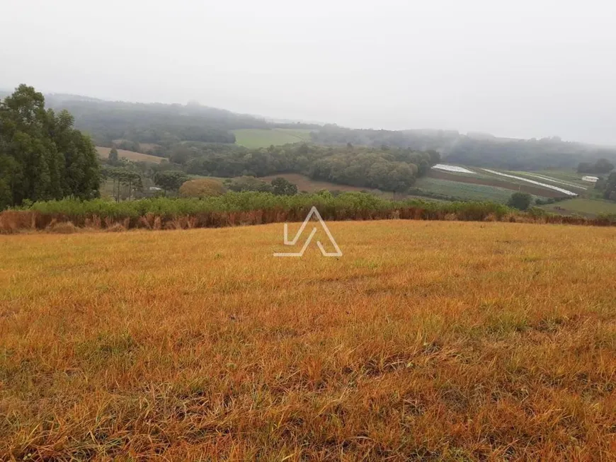 Foto 1 de Fazenda/Sítio à venda, 80000m² em Lucas Araújo, Passo Fundo