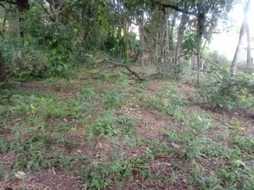 Foto 1 de Lote/Terreno à venda, 660m² em Sítios Primavera, Jarinu