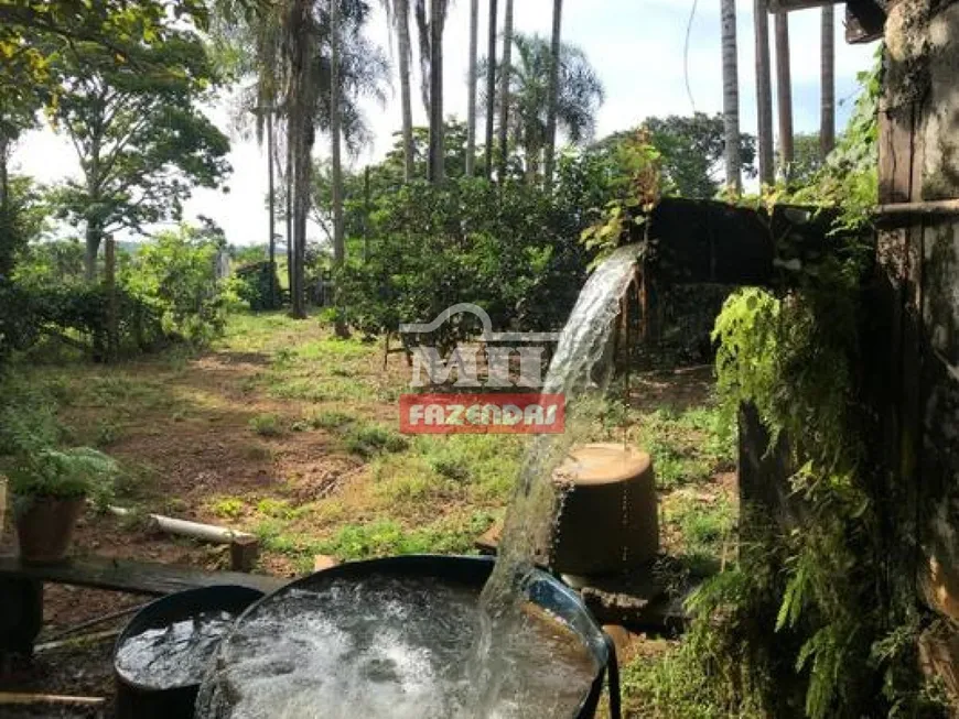 Foto 1 de Fazenda/Sítio à venda, 38m² em Zona Rural, Hidrolândia