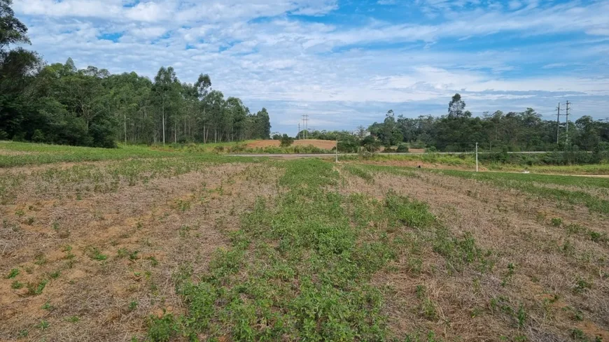 Foto 1 de Lote/Terreno à venda, 25000m² em Cristo Rei, Içara