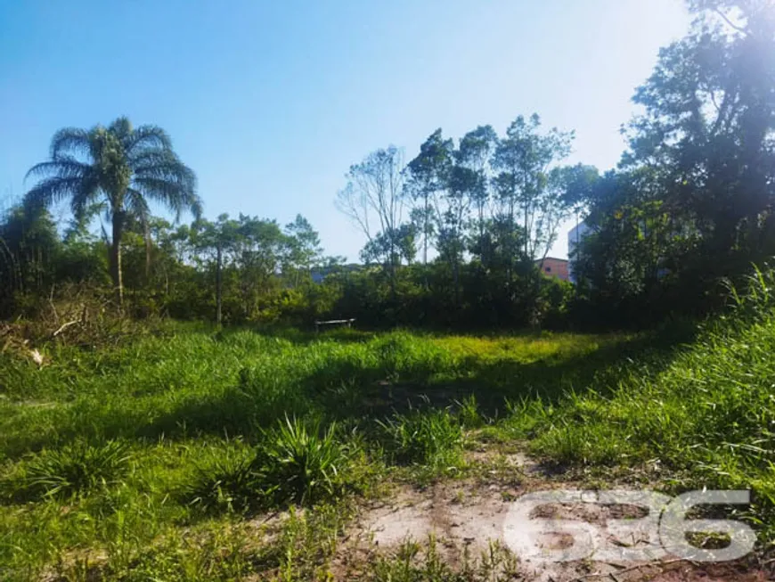 Foto 1 de Lote/Terreno à venda, 2500m² em Porto Grande, Araquari