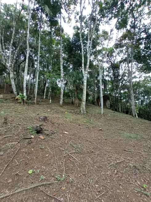 Foto 1 de Fazenda/Sítio à venda, 92m² em Limeira, Brusque