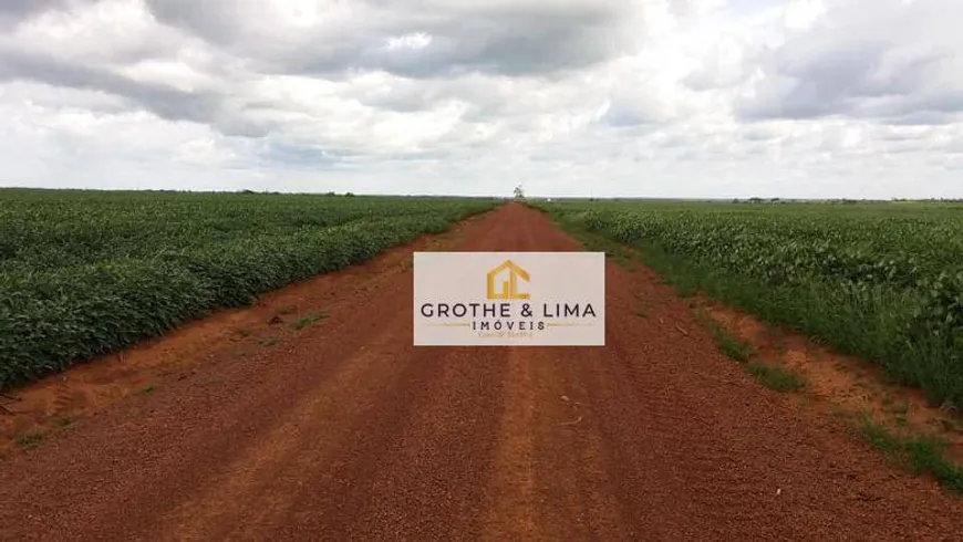 Foto 1 de Fazenda/Sítio com 7 Quartos à venda, 800m² em , Paraíso do Tocantins