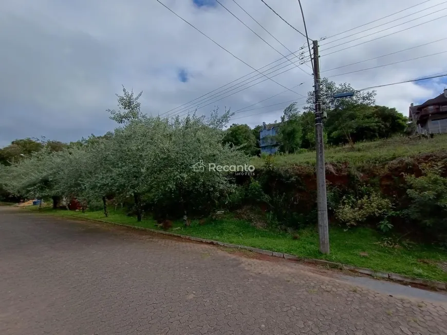 Foto 1 de Lote/Terreno à venda, 600m² em Vale das Colinas, Gramado