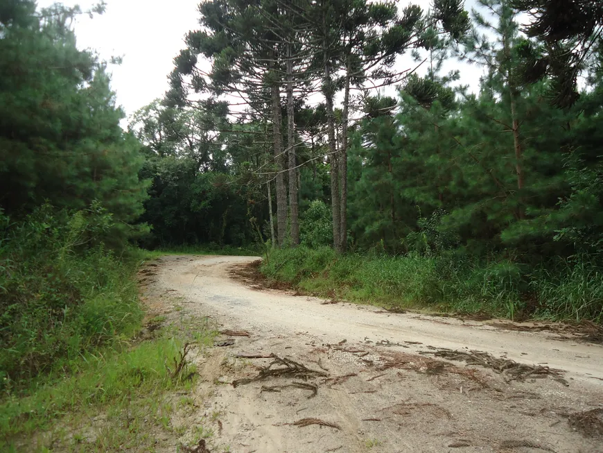 Foto 1 de Fazenda/Sítio à venda, 24200m² em Centro, Campo do Tenente