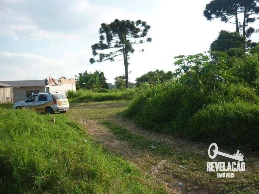 Foto 1 de Lote/Terreno à venda, 1794m² em São Sebastiao, São José dos Pinhais