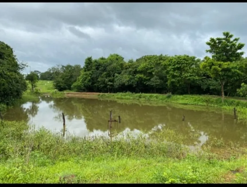 Foto 1 de Fazenda/Sítio com 4 Quartos à venda, 72000000m² em Centro, Pirenópolis