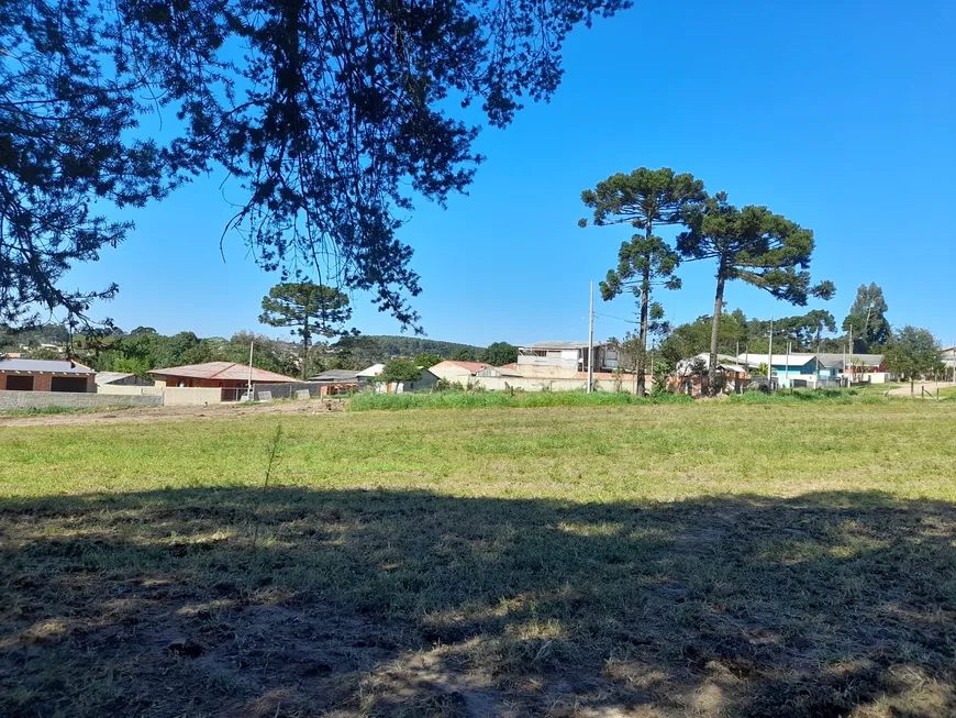 Foto 1 de Lote/Terreno à venda, 75000m² em Centro, Campo do Tenente