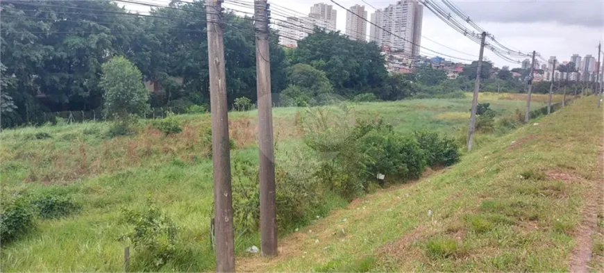 Foto 1 de Lote/Terreno à venda, 16965m² em Butantã, São Paulo