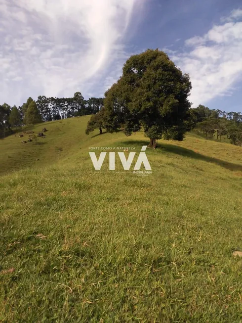 Foto 1 de Fazenda/Sítio com 5 Quartos à venda, 181500m² em Salto, Joanópolis