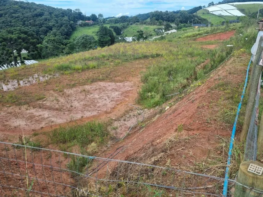 Foto 1 de Lote/Terreno à venda em Centro, Senador Amaral