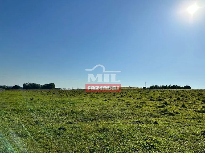 Foto 1 de Fazenda/Sítio à venda em Area Rural de Anapolis, Anápolis