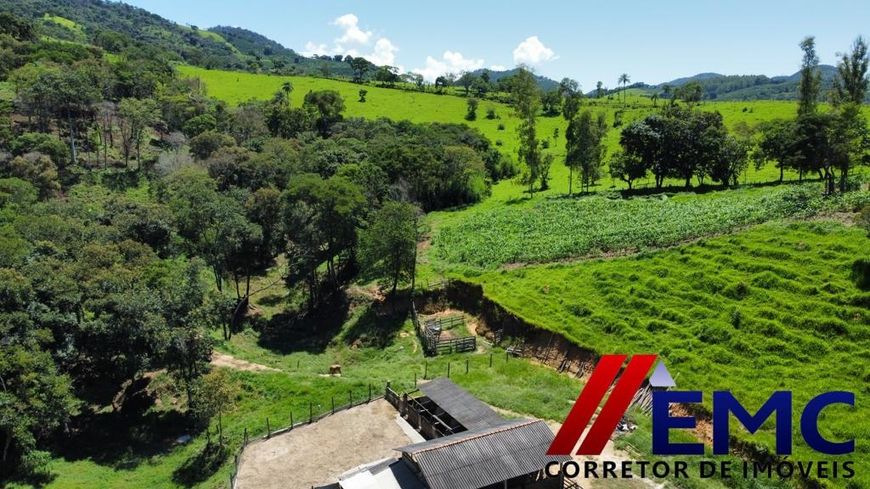 Fazenda/Sítio 4800 m² em Zona Rural em Jacutinga, por R$ 530.000 - Viva Real