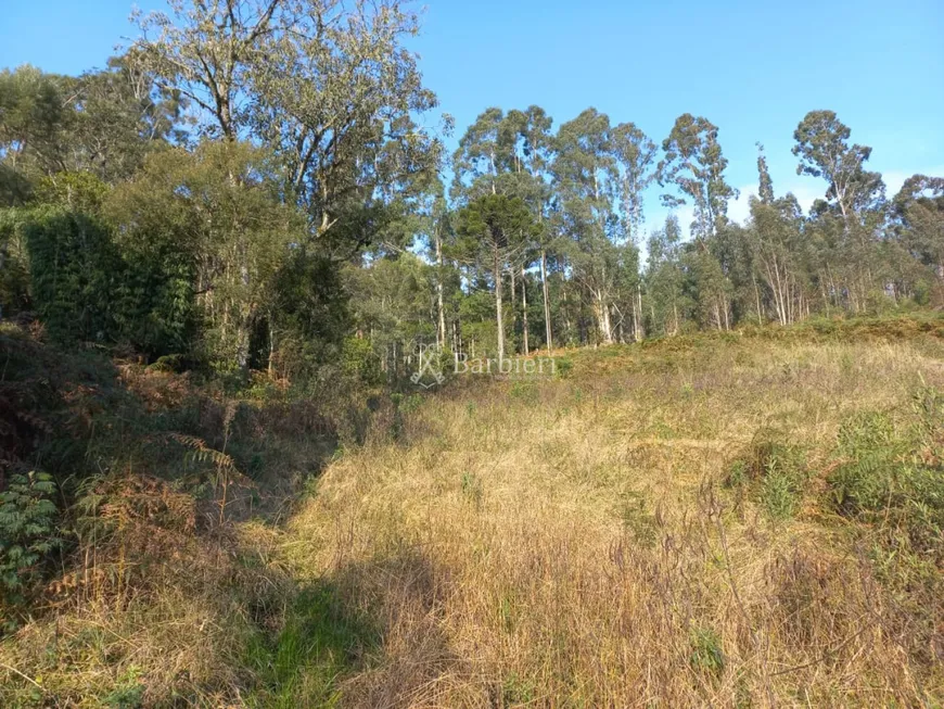 Foto 1 de Lote/Terreno à venda, 20000m² em , Urubici