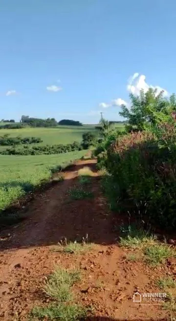 Foto 1 de Fazenda/Sítio à venda, 1000m² em , Marialva