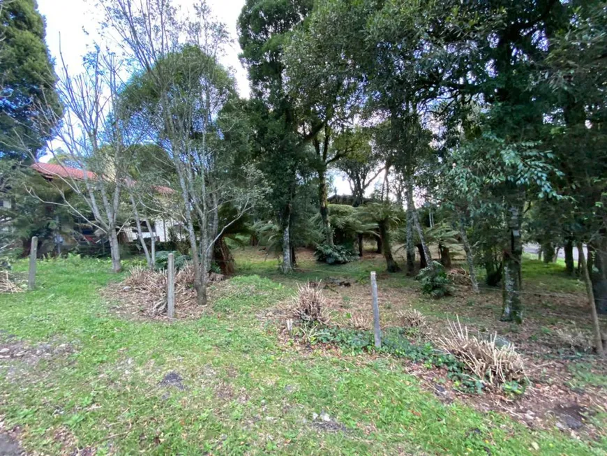 Foto 1 de Lote/Terreno à venda, 1040m² em Ipê Amarelo, Gramado