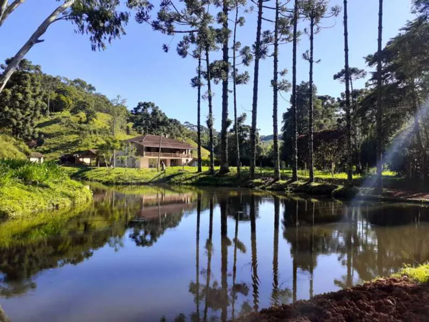 Foto 1 de Fazenda/Sítio com 1 Quarto à venda, 3100000m² em Centro, Liberdade