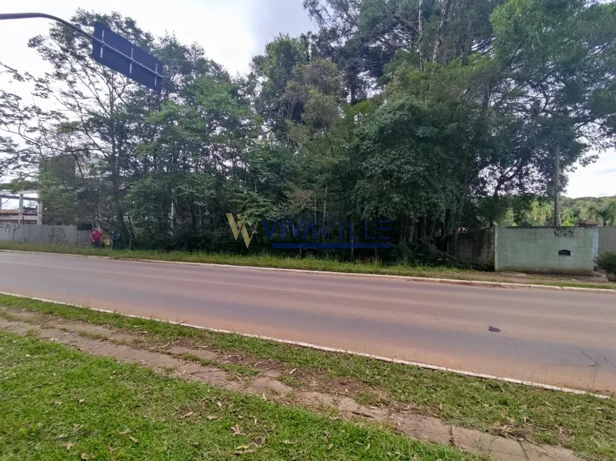 Foto 1 de Lote/Terreno à venda, 2812m² em Alphaville Graciosa, Pinhais