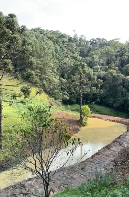 Foto 1 de Lote/Terreno à venda, 60000m² em Taquaras, Rancho Queimado