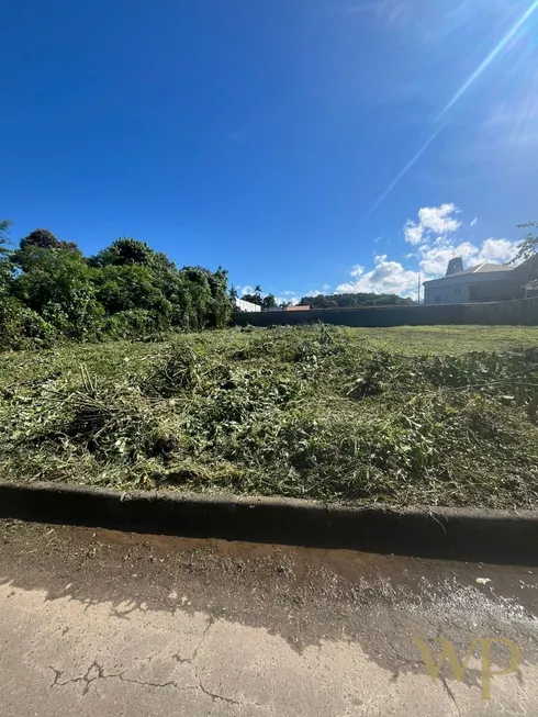 Foto 1 de Lote/Terreno à venda, 390m² em Anita Garibaldi, Joinville