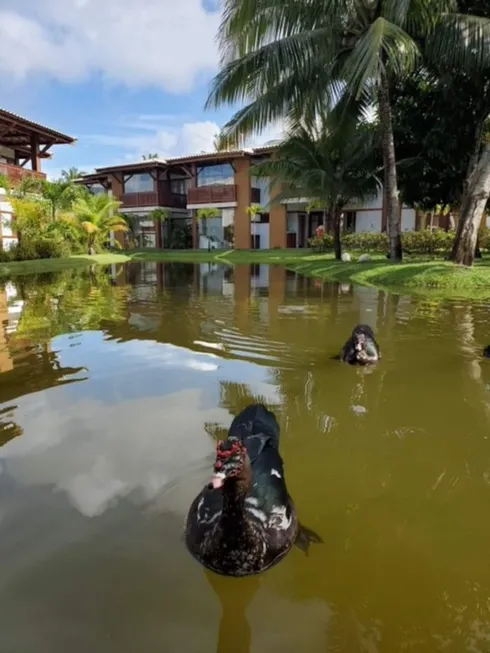 Foto 1 de Apartamento com 2 Quartos à venda, 60m² em Praia do Forte, Mata de São João